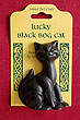 Irish Lucky Black Cat
(Handcrafted from Bog Oak)