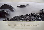 The Giant