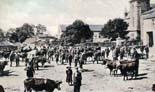 Navan - Meath - Fair Day
(circa 1905)