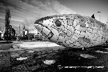 Big Fish Sculpture, Belfast
(Big Fish Sculpture, Belfast)