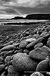 Unfenced Existence, Co Waterford
(Unfenced Existence)