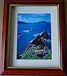 Sheep, Dunquin Pier, Dingle, Co Kerry
(Irish Photo Print)