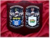 Customized Handpainted Double Crest Shield - LARGE
(Coat of Arms)