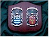 Handpainted Double Coat of Arms Shield
(Standard Size)