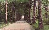Rockingham - Roscommon - Avenue
(to House)