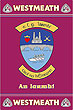 Westmeath GAA County Crest - Irish County Rug
