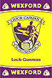 Wexford GAA County Crest - Irish County Rug