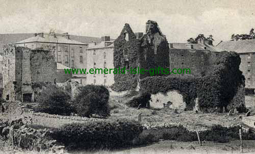 Nenagh - Tipperary -  Town Hall & Castle
