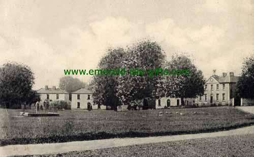 Tyrellspass - Westmeath -  The Crescent