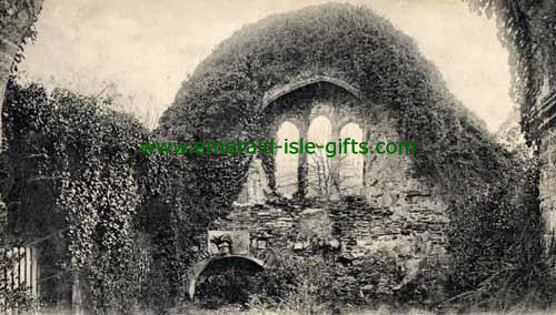 Wicklow Town -  The Abbey