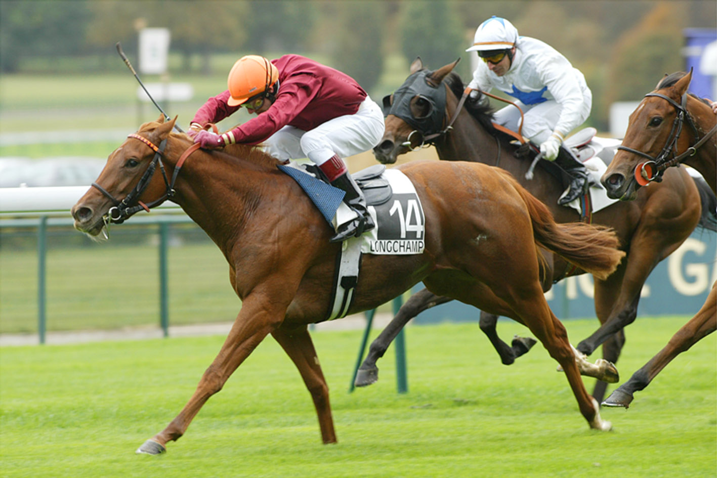 irish-sport-memorabilia-horse-racing