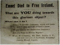 Irish Propaganda Posters Mounted