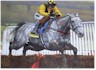 Famous Racehorses
# Items in this Subsection: 79