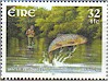 Fishing in Ireland
# Items in this Subsection: 1