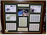 Framed Stamp Sets
# Items in this Subsection: 5