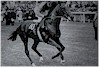 Healy Racing Photographers
# Items in this Subsection: 2