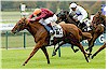 Horse Racing
# Items in this Subsection: 3