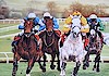 Irish Horse Racing Prints
Browse our online catalog of horse racing prints, all pictures are available mounted or framed. Our range includes some notable horseraces of recent years such as Best Mate and Istabraq, jockeys, race courses, spectacular race scenes and horse training pictures.