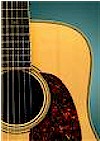 Irish Traditional Guitar
# Items in this Subsection: 5
