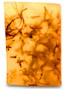 Soaps
# Items in this Subsection: 2