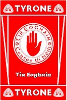 Ulster County GAA Rugs