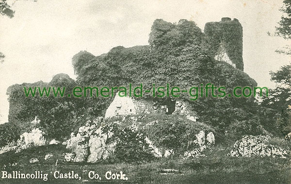 Cork - Ballincollig - Ballincollig Castle