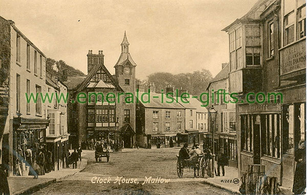 Cork - Mallow - Clock House