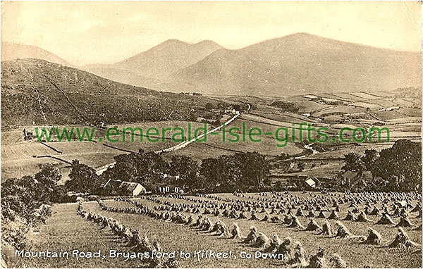 Down - Brysansford - Mountain Rd