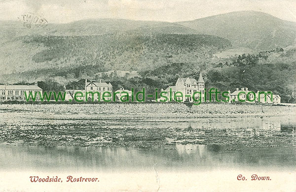Down - Rostrevor - Woodside