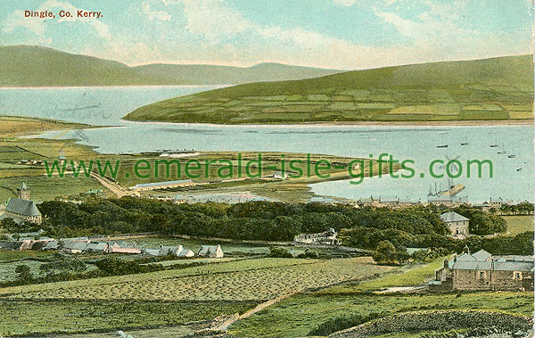 Kerry - Dingle - Coastal view