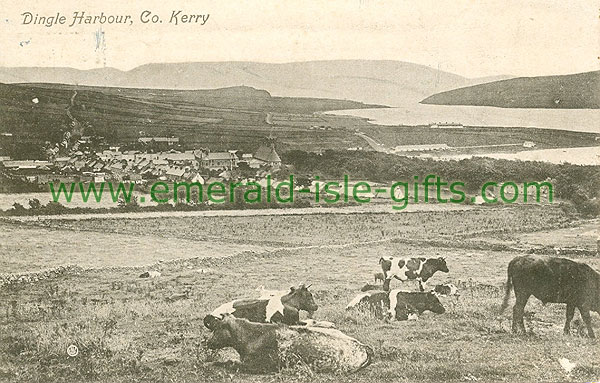 Kerry - Dingle - Dingle Harbour