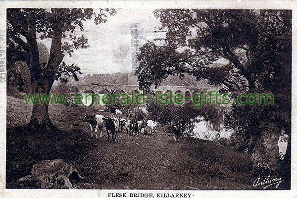 Kerry - Killarney - old Irish photo