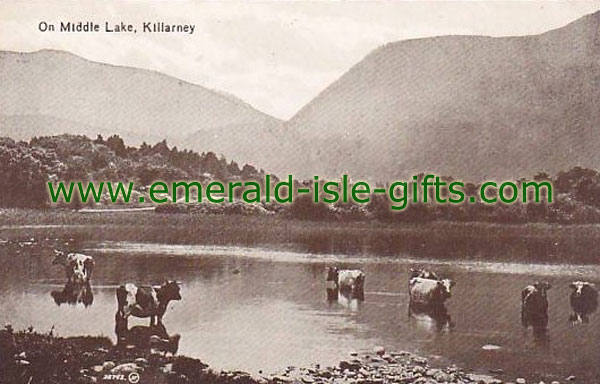 Kerry - On Middle Lake, Killarney