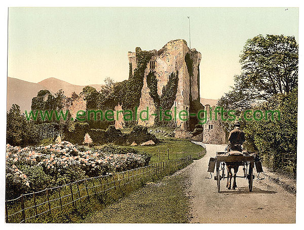 Kerry - Jaunting Car at Ross Castle
