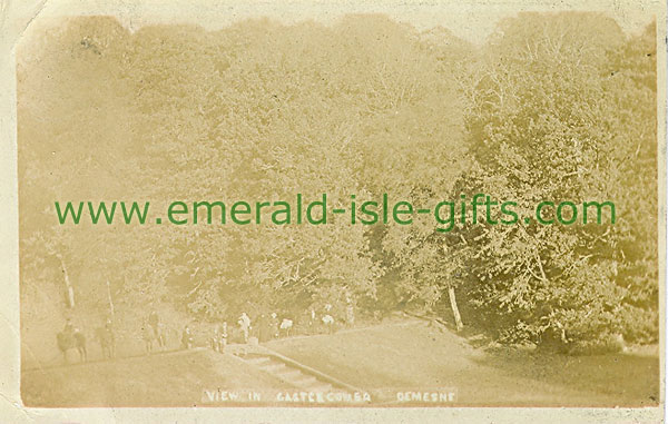Kilkenny - Castlecomer - Demesne