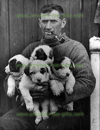 Tom Crean with sled dog puppies, 1915