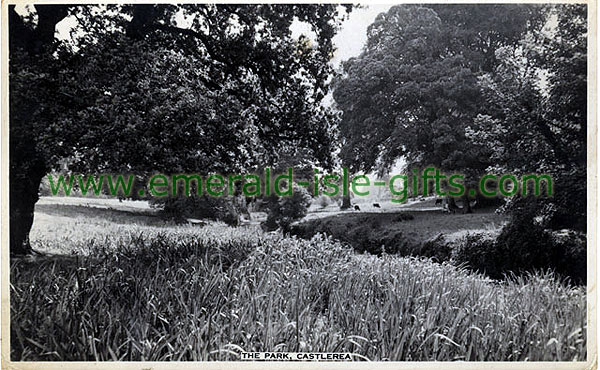 Roscommon - Castlerea - The Park