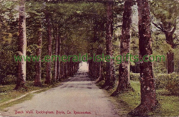 Roscommon - Rockingham - Beech Walk