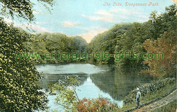 Tyrone - Dungannon - The Lake, Dungannon Park