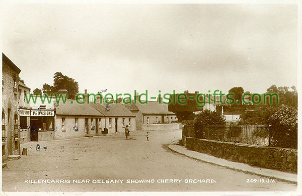 Wicklow - Killencarrig - near Delgany