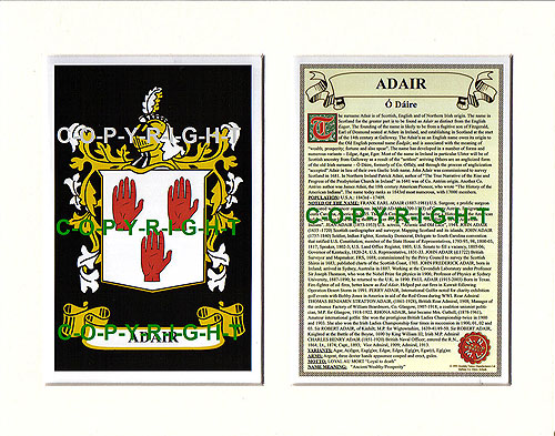 Adair Family Crest and Name History