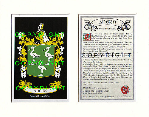 Ahern Family Crest and Name History