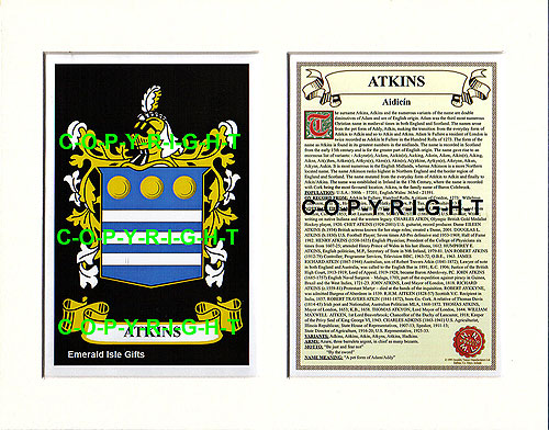 Atkins Family Crest and Name History