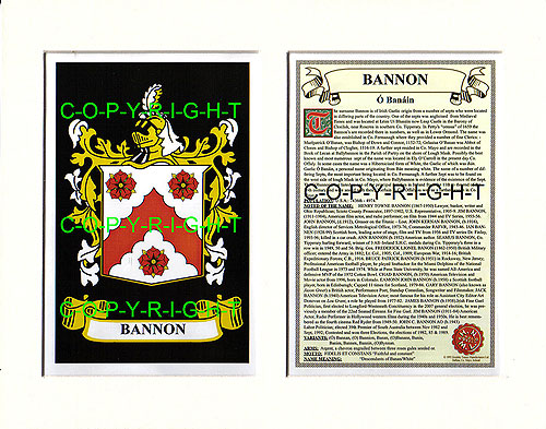 Bannon Family Crest and Name History