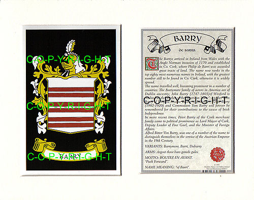 Barry Family Crest and Name History
