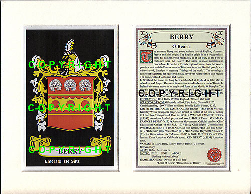 Berry Family Crest and Name History