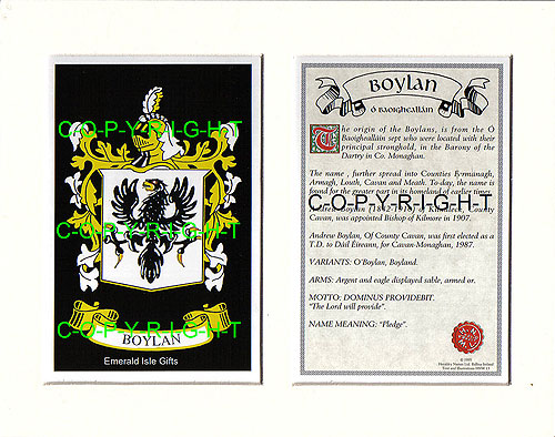 Boylan Family Crest and Name History