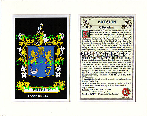 Breslin Family Crest and Name History