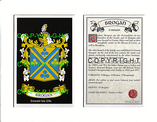Brogan Family Crest and Name History