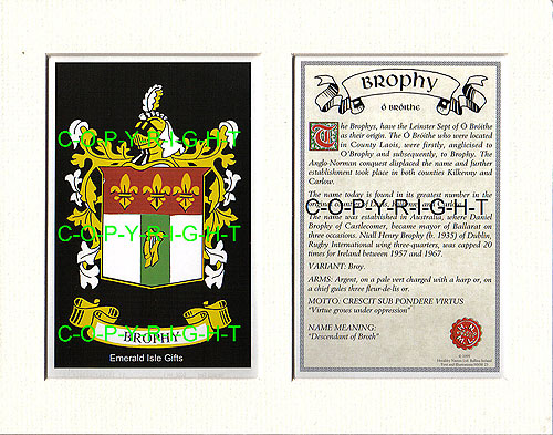 Brophy Family Crest and Name History
